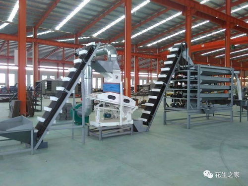 青島楓林花生機械 專業(yè)機械設備，驅動產業(yè)升級