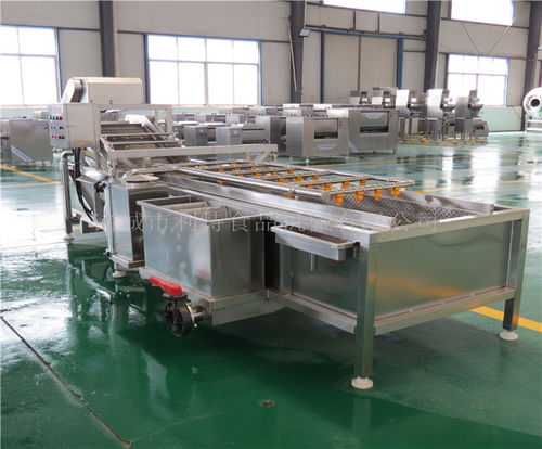 河南地區(qū)高壓噴淋蔬菜清洗機(jī)選購指南與優(yōu)質(zhì)供應(yīng)商推薦——諸城市利特食品機(jī)械