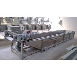 昊昌1000型蔬菜清洗機 高效潔凈，賦能食品加工新篇章