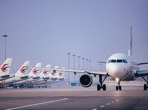 航空保險理賠困境 為何遇難乘客購買多份保險仍遭拒賠？